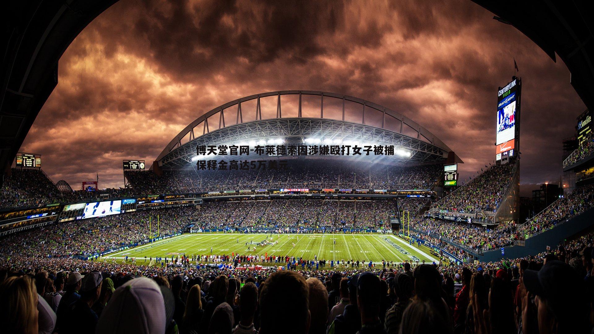 布莱德索因涉嫌殴打女子被捕 保释金高达5万美元